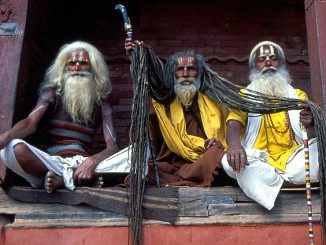 Rasta and Sadhu