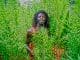 African herbman