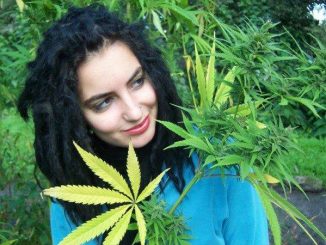 Medical Marijuana