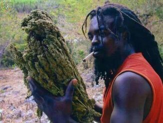 Marijuana is addictive