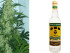 Marijuana and Alcohol