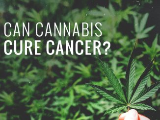 Marijuana and Cancer