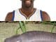 Draymond Green offered porn contract after penis posted online