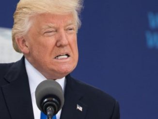 Donald Trump the wasteman